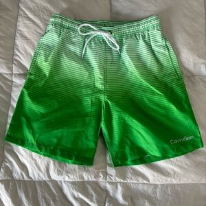Calvin Klein Men's Sky Gradient 7" Volley Swim Trunks, Green/White